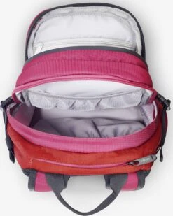 Delsey Sacs à Dos Sac à Dos Femme Rose -Delsey 00ec014ccf7416ba5e42082f8cba2b15
