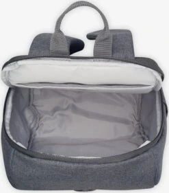 Delsey Sacs à Dos Sac à Dos Maubert 2.0 Femme Gris 7 Delsey Sacs à Dos Sac à Dos Maubert 2.0 Femme Gris -Delsey 1cd5c9341e143a3b321e67b9dbdeaf09