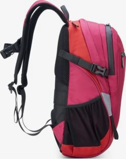 Delsey Sacs à Dos Sac à Dos Femme Rose -Delsey 1e2bd33b35c8ab5ff281b38dc1c062da