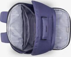 Delsey Sacs à Dos Sac à Dos Femme Violet Foncé -Delsey 58ed6d4f3bb8367e7960713d3862289c