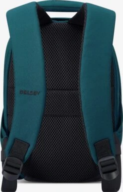 Delsey Sacs à Dos Sac à Dos Securban Femme Bleu -Delsey 59e257aeabf1fd246fe0e85b69c6ad22