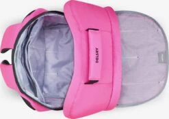Delsey Sacs à Dos Sac à Dos Securban Femme Rose -Delsey 7db2aa19cbdece9069262f5e3d3aa5ff