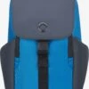 Delsey Sacs à Dos Sac à Dos Securflap Homme Bleu / Bleu-gris