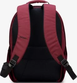 Delsey Sacs à Dos Sac à Dos Femme Rouge Pastel -Delsey bb549e66137ddf45b3d34022d5061d23