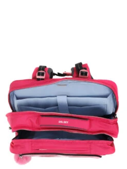 Cartable à Roulettes Delsey Back To School 43 Cm - 2 Roues 31 Cartable à Roulettes Delsey Back To School 43 Cm - 2 Roues -Delsey cartables scolaires delsey 789232z