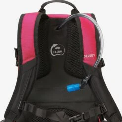 Delsey Sacs à Dos Sac à Dos Femme Rose -Delsey e0a99836d15f9387a61c9f6c9654f1c7