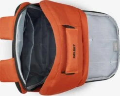 Delsey Sacs à Dos Sac à Dos Femme Orange -Delsey edd1681008b81fc2bc5017ef446060b0