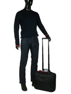 Pilot Case Delsey Parvis Plus 15.6 Pouces -Delsey pilotcase delsey 475337z