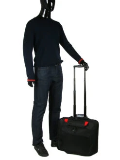 Pilot Case Delsey Parvis Plus 17.3 Pouces -Delsey pilotcase delsey 475353z