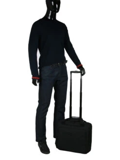 Pilot Case Delsey Esplanade 15.6 Pouces -Delsey pilotcase delsey 475533z