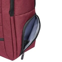 Delsey Paris Sac à Dos Ordinateur Element 2 Compartiments 44cm 15,6 Pouces Rouge -Delsey sac a dos ordinateur element 2 compartiments 44cm 156 pouces rouge 3