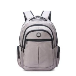 Delsey Paris Sac à Dos Ordinateur Element 3 Compartiments 44cm 15,6 Pouces Gris