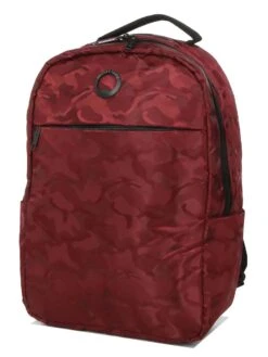 Sac à Dos Delsey Citypak Dome