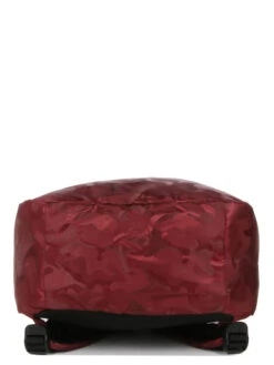 Sac à Dos Delsey Citypak Dome 22 Sac à Dos Delsey Citypak Dome -Delsey sac dos delsey 759015z