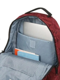 Sac à Dos Delsey Citypak Dome 23 Sac à Dos Delsey Citypak Dome -Delsey sac dos delsey 759017z