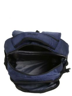 Sac à Dos Delsey Element Navigator -Delsey sac dos delsey 759045z