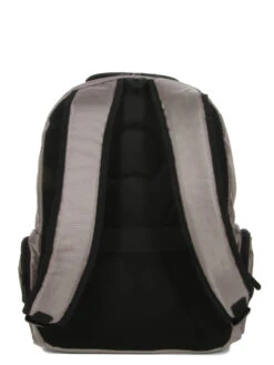 Sac à Dos Delsey Element Flier -Delsey sac dos delsey 759081z