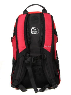 Sac à Dos Delsey Nomade S 18 Sac à Dos Delsey Nomade S -Delsey sac dos delsey 787250z