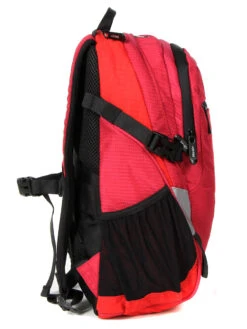 Sac à Dos Delsey Nomade S 21 Sac à Dos Delsey Nomade S -Delsey sac dos delsey 787251z