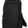 Sac à Dos Ordinateur Delsey Parvis Plus Imperméable 15.6 Pouces