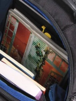 Sac à Dos Ordinateur Delsey Wagram 15.6 Pouces -Delsey sac ordinateur delsey 847673z