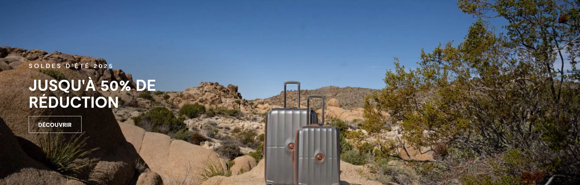 Delsey -Delsey fghjfgj